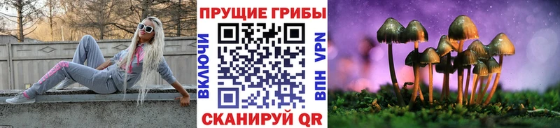 Псилоцибиновые грибы Magic Shrooms Павловская